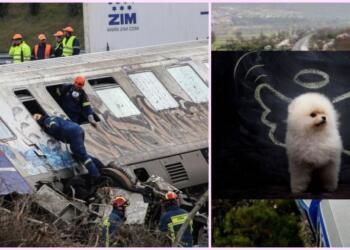 «Η μητέρα έκλαιγε & τα έλεγε με το σκυλάκι αγκαλιά»: Πως ένα σκυλάκι «έσωσε» ζευγάρι φοιτητών που ήταν να κάτσει στο δεύτερο βαγόνι