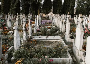 tomb stone surrounded by flowers