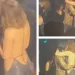 «Δεν θα ήθελα να είμαι ο Μπισμπίκης»: Χαμός με το «καuτό» Τετ Α Τετ Βανδή – Μάστορα