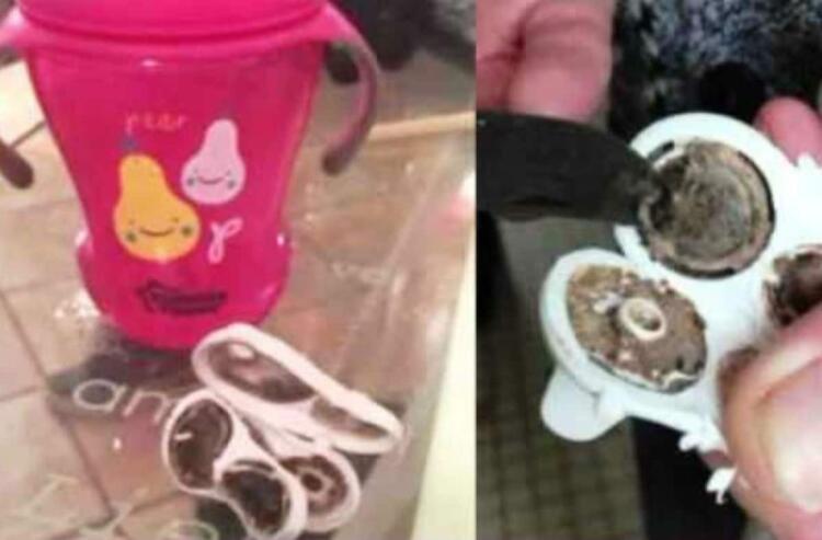 Δεν μπορούσαν να καταλάβουν γιατί το μωρό τους ήταν τόσο άρρωστο – Μέχρι που ανακάλυψαν αυτό…