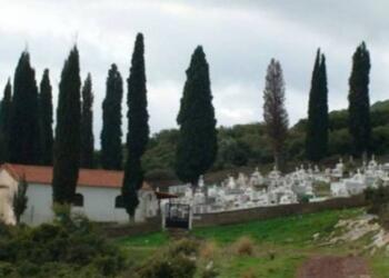 Tο γνώριζες: Για ποιο λόγο φυτεύουν κυπαρίσσια στα νεκροταφεία!