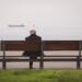 man sitting on brown bench facing on the sea