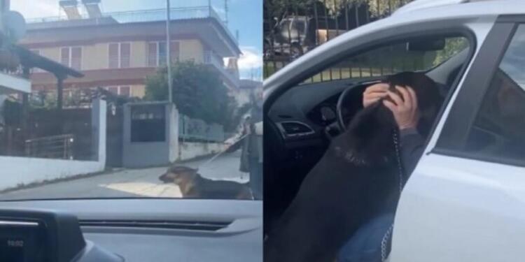 Απίστευτο βίντεο: Θεσσαλονικιός βρήκε τον σκύλο του, που είχε χαθεί το 2017 και το ζώο «τρελάθηκε» όταν τον είδε (vid)