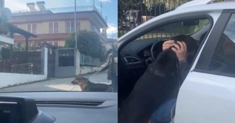 Απίστευτο βίντεο: Θεσσαλονικιός βρήκε τον σκύλο του, που είχε χαθεί το 2017 και το ζώο «τρελάθηκε» όταν τον είδε (vid)