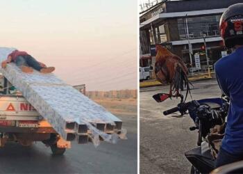 Αυτά θα τα δείς μόνο μία φορά στην ζωή σου.