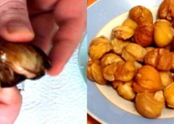 Σταμάτα να τυραννιέσαι άδικα. Έτσι θα Καθαρίσεις ένα Κάστανο στη Στιγμή και Χωρίς να το Χαλάσεις