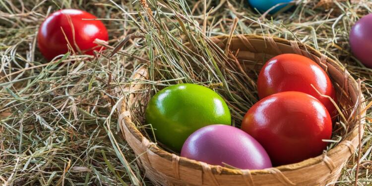 easter eggs, colored eggs, nest