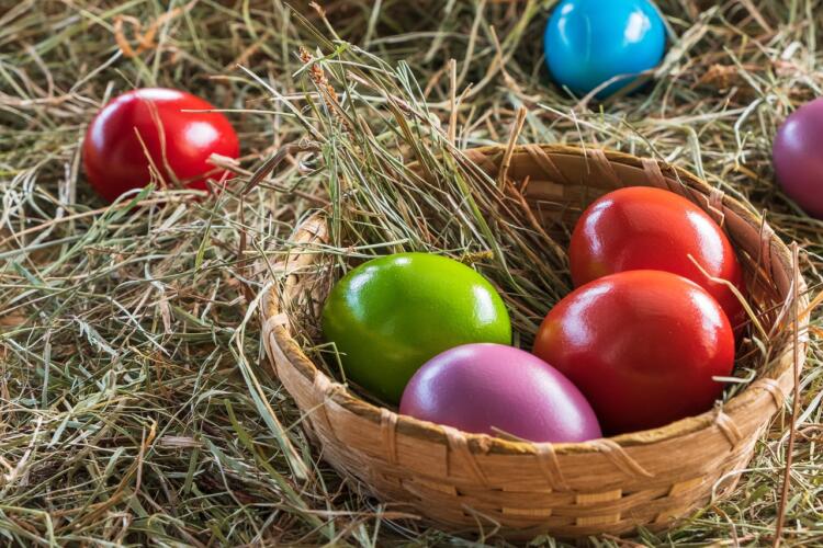 easter eggs, colored eggs, nest