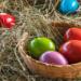easter eggs, colored eggs, nest