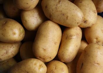 brown potato lot