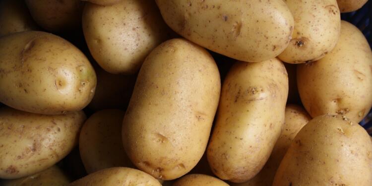 brown potato lot