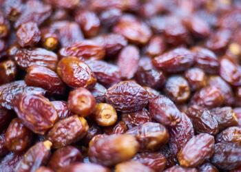 brown and white coffee beans