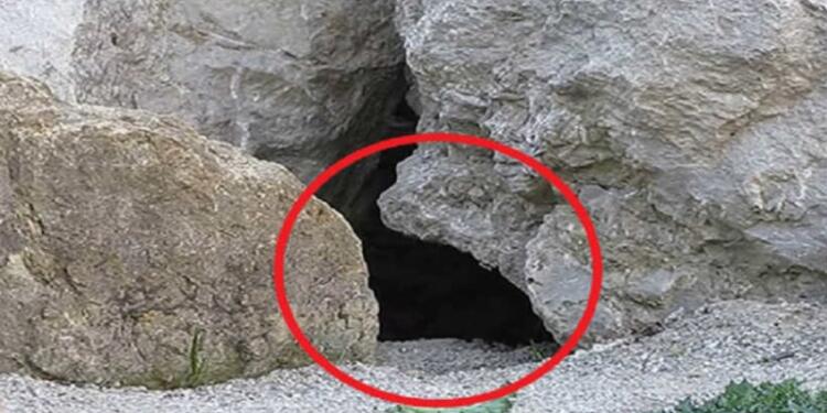 Έβαλαν κάμερα έξω από αυτήν τη σπηλιά. Έπαθαν την πλάκα τους όταν είδαν τι κατέγραψε!