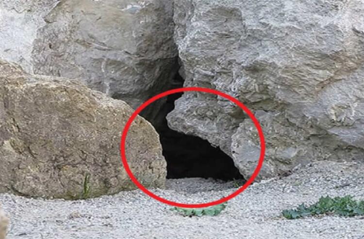 Έβαλαν κάμερα έξω από αυτήν τη σπηλιά. Έπαθαν την πλάκα τους όταν είδαν τι κατέγραψε!