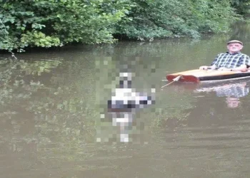 Είδε Έναν Παππούλη Μέσα Σε Μια Βάρκα Και Παραξενεύτηκε! Μόλις Όμως Πρόσεξε Τι Την Τραβάει, Έβγαλε Αμέσως Την Κάμερα!