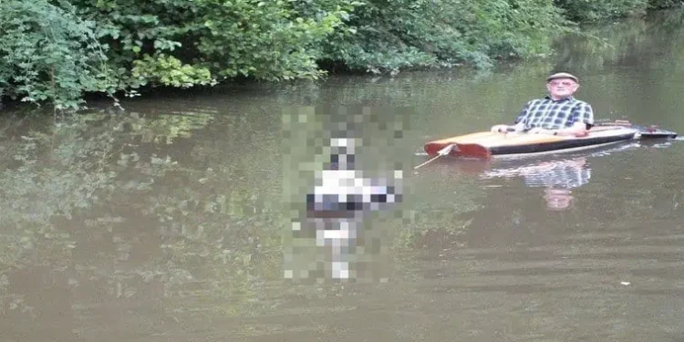 Είδε Έναν Παππούλη Μέσα Σε Μια Βάρκα Και Παραξενεύτηκε! Μόλις Όμως Πρόσεξε Τι Την Τραβάει, Έβγαλε Αμέσως Την Κάμερα!