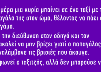 Μια μέρα μια κυρία μπαίνει σε ένα ταξί με τον παπαγάλο της στον ώμο