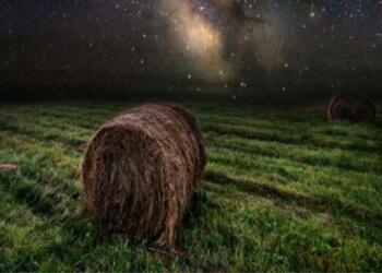 Παραιτήθηκε από τη δουλεία του όταν τράβηξε αυτές τις φωτογραφίες – Μια ματιά και θα καταλάβεις το γιατί…