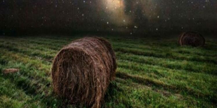 Παραιτήθηκε από τη δουλεία του όταν τράβηξε αυτές τις φωτογραφίες – Μια ματιά και θα καταλάβεις το γιατί…