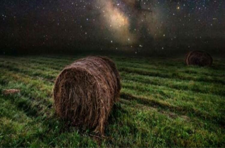 Παραιτήθηκε από τη δουλεία του όταν τράβηξε αυτές τις φωτογραφίες – Μια ματιά και θα καταλάβεις το γιατί…