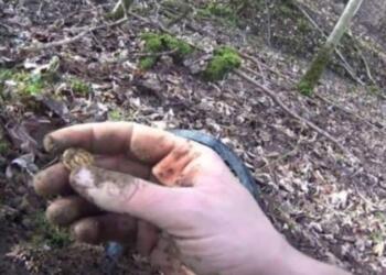 Γυναίκα βρήκε τυχαία ένα κέρμα 700 χρόνων! Αυτό που συνέβη 15 χρόνια αργότερα κάνεις δεν το περίμενε!