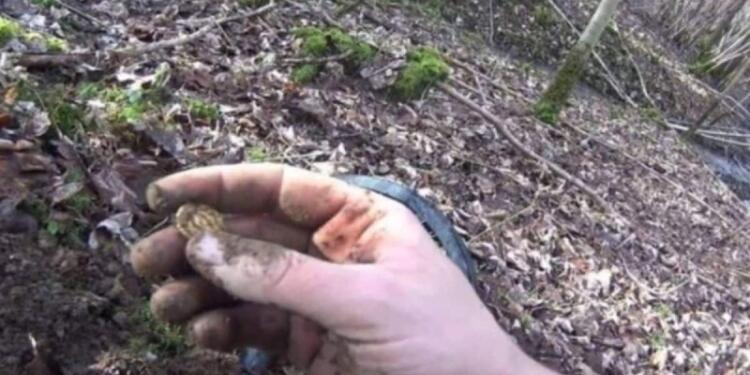 Γυναίκα βρήκε τυχαία ένα κέρμα 700 χρόνων! Αυτό που συνέβη 15 χρόνια αργότερα κάνεις δεν το περίμενε!