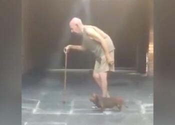 80χρονος παππούς πηγαίνει βόλτα με τον σκύλο του κάθε μέρα…Μόλις προσέξετε τι κάνει θα συγκινηθείτε!