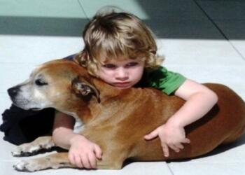 Είπαν σε ένα 6χρονο παιδί ότι ο σκύλος του θα πεθάνει. Η απάντηση του μας συγκλόνισε…