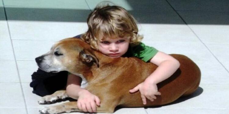 Είπαν σε ένα 6χρονο παιδί ότι ο σκύλος του θα πεθάνει. Η απάντηση του μας συγκλόνισε…
