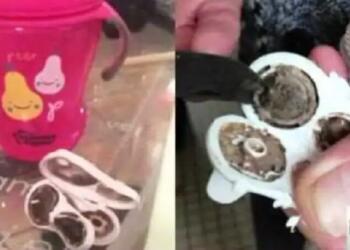 To παιδί τους αρρώσταινε συνέχεια και δεν ήξερα το γιατί..Μέχρι που ανακάλυψαν αυτό..