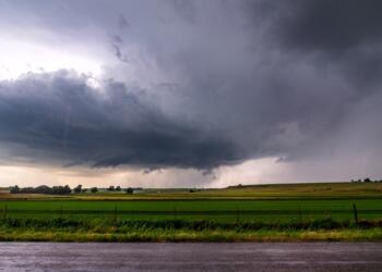 green grass field under cloudy sky during daytime
