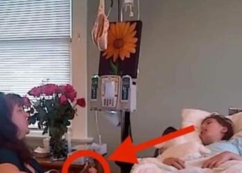 Πατέρας έβαλε κρυφή κάμερα στο δωμάτιο που βρισκόταν η βαριά άρρωστη κόρη του – Αυτό που κατέγραψε θα σας ανατριχιάσει!