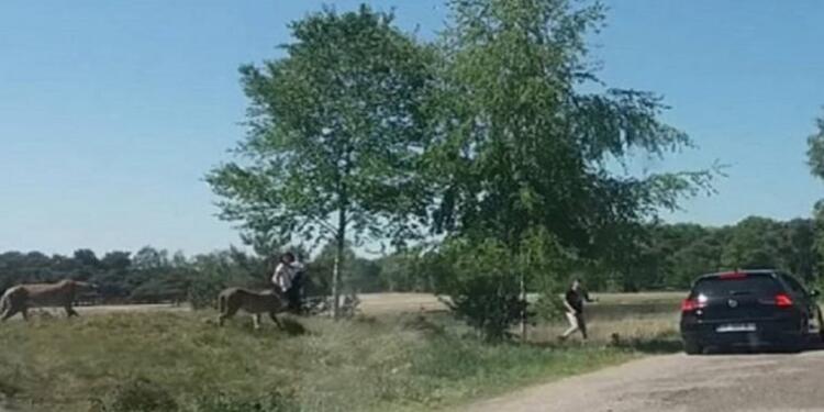 Βίντεο που ανατριχιάζει: Μάνα σώζει το μωρό της από λεοπαρδάλεις και ο πατέρας τρέχει να σωθεί