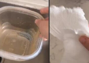 Το κόλπο για να καθαρίσετε τα πλαστικά δοχεία από το λάδι, μέσα σε λίγα δευτερόλεπτα