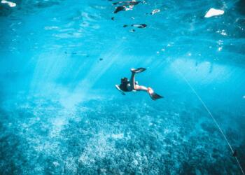 man in black shorts swimming in water