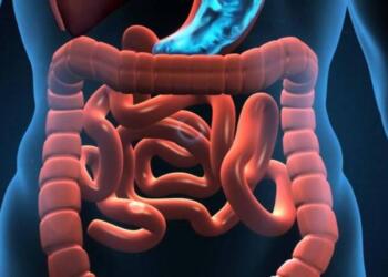 10 σημάδια που δείχνουν ότι έχετε παράσιτα στο έντερο!