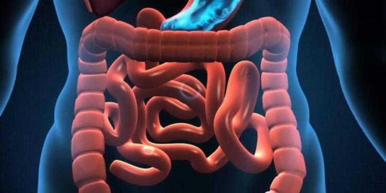 10 σημάδια που δείχνουν ότι έχετε παράσιτα στο έντερο!