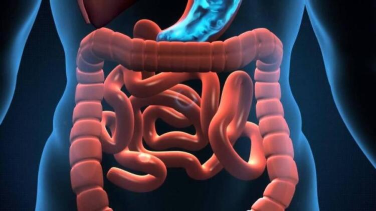 10 σημάδια που δείχνουν ότι έχετε παράσιτα στο έντερο!