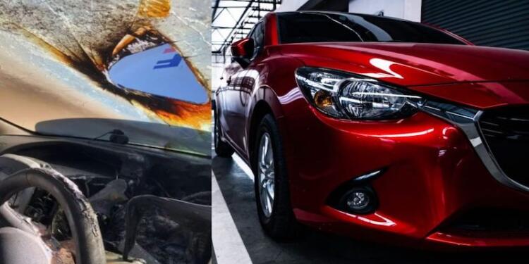 Ούτε που πήγαινε το μυαλό σας – Τι δεν πρέπει να αφήνετε ποτέ στο αυτοκίνητο όταν έχει καύσωνα!