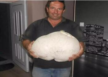 Γρεβενά: Περπατούσε στο βουνό και έπεσε πάνω σε μια εικόνα που δεν θα ξεχάσει ποτέ [pics]