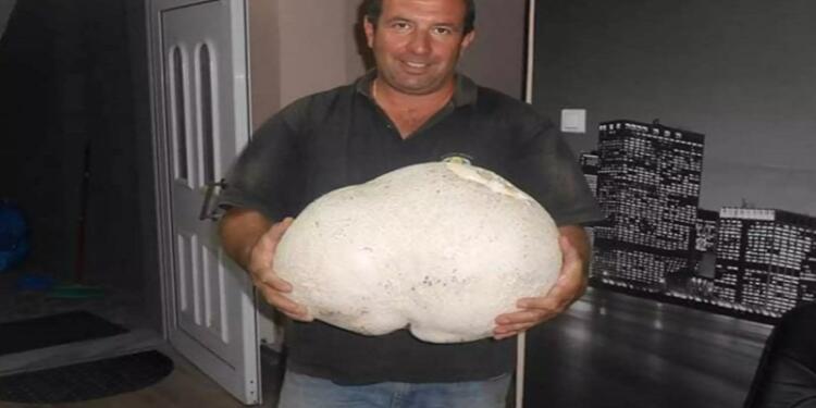 Γρεβενά: Περπατούσε στο βουνό και έπεσε πάνω σε μια εικόνα που δεν θα ξεχάσει ποτέ [pics]