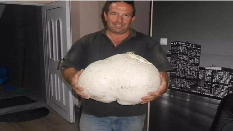 Γρεβενά: Περπατούσε στο βουνό και έπεσε πάνω σε μια εικόνα που δεν θα ξεχάσει ποτέ [pics]