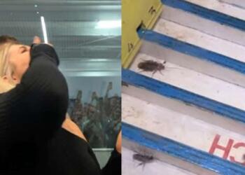 Αυτό είναι το μέρος όπου οι κατσαρίδες είναι «πρωταθλήτριες»: Ο αγώνας που παίρνουν μέρος και η νικήτρια τρώγεται ζωντανή (video)