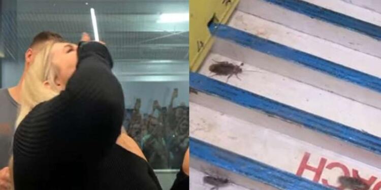 Αυτό είναι το μέρος όπου οι κατσαρίδες είναι «πρωταθλήτριες»: Ο αγώνας που παίρνουν μέρος και η νικήτρια τρώγεται ζωντανή (video)