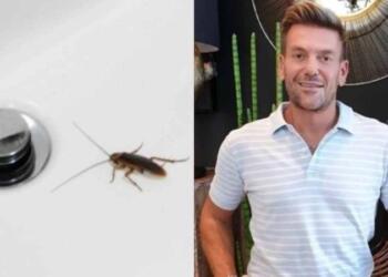 Τις τελείωσε ο Σπύρος Σούλης: Οι 3 τρόποι με τους οποίους εξολοθρεύει τις κατσαρίδες!