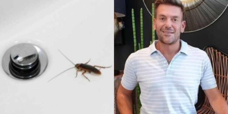 Τις τελείωσε ο Σπύρος Σούλης: Οι 3 τρόποι με τους οποίους εξολοθρεύει τις κατσαρίδες!