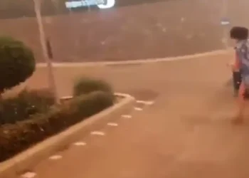 Συγκλονιστικό βίντεο από τη φωτιά στη Ρόδο – Πυροσβέστης σώζει τουρίστρια από ξενοδοχείο που φλέγεται