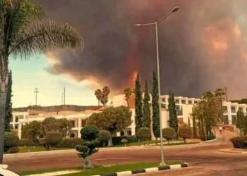 Φωτιά στη Ρόδο: Εργαζόμενη σε ξενοδοχείο περιγράφει τις στιγμές που έφτασαν οι φλόγες