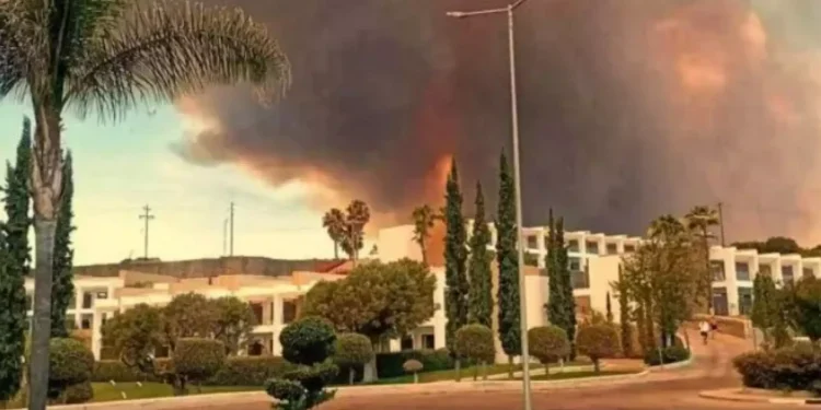 Φωτιά στη Ρόδο: Εργαζόμενη σε ξενοδοχείο περιγράφει τις στιγμές που έφτασαν οι φλόγες