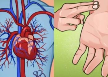 Φυσιολογικοί παλμοί καρδιάς ανά ηλικία: Τι υποδεικνύουν για την υγεία σας – Πίνακας